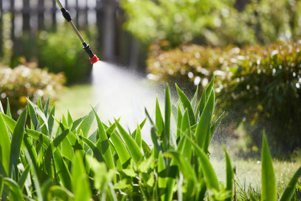 24/7 Emergency Mosquito Control experts in Monmouth Beach, NJ