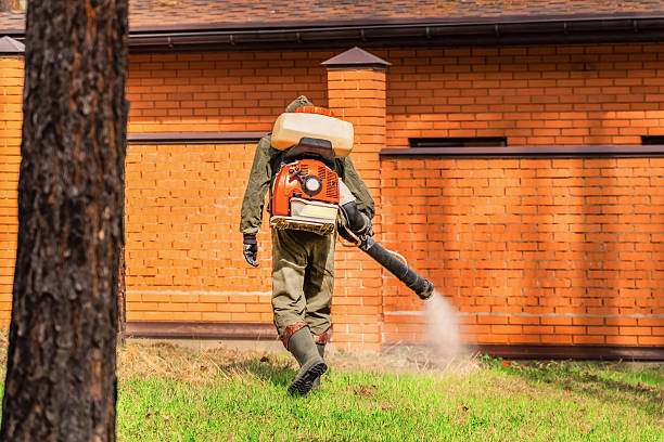 Trusted Mosquito Control service in Monmouth Beach, NJ - Nex Pest Control
